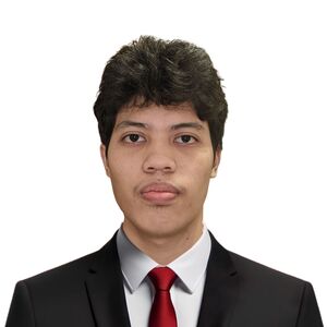 Marc Louis Gading