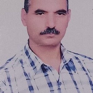 Ahmed Abdelhafeiz Ali