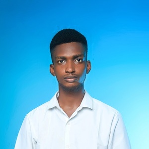 Chibuzor Onyedikachi Joel