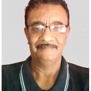 Ahmed Abdalla Ahmed Eltayeb
