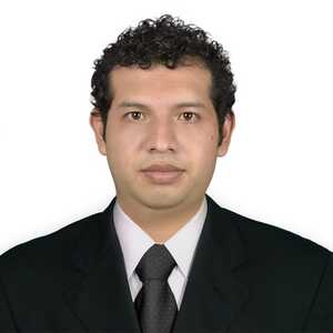 Rolando Diego Alvarez Faye