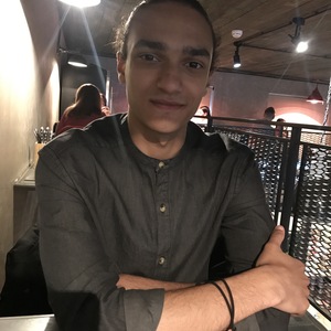 Amr Elwan