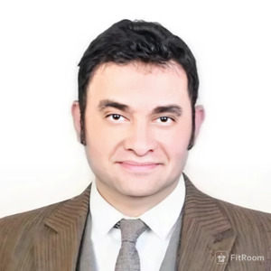 Walid Abdelhady Salah Abdin