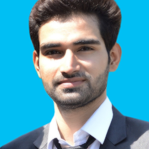 Muhammad Waseem Ahmed