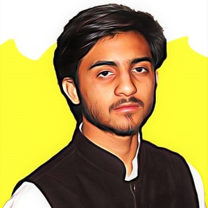 Talha Ali