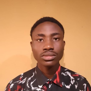 Somtochukwu Ahanonu Nwosu