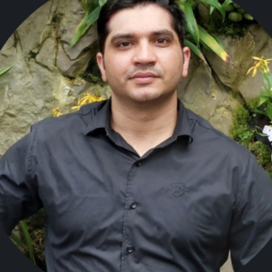 Waleed Anwar