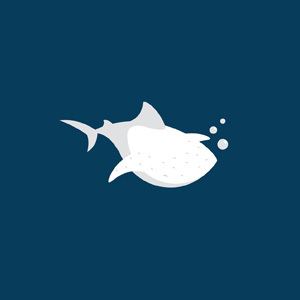 Whale Shark Studio