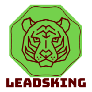 LeadsKing IT