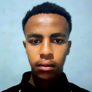Dawit Dibaba