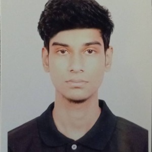 Tausif Hossain Biswas