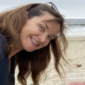 Julie Jervis