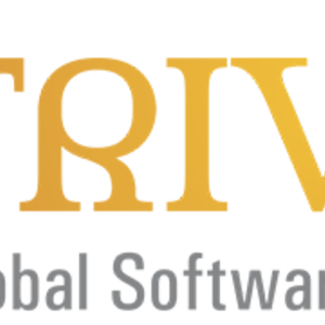 Triveni Global Software Services LLP