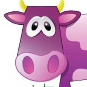 Purple Cow Agency, OPC