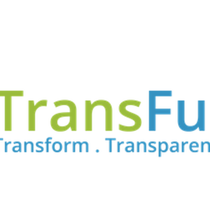 Transfunnel Consulting