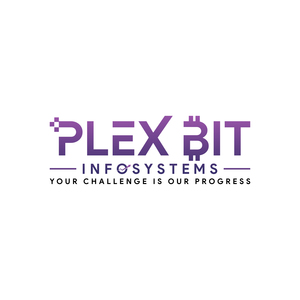 Plex Bit Infosystems Pvt Ltd