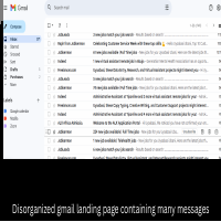 email management portfolio
