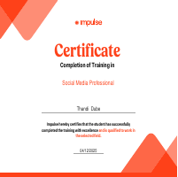 Social Media Professional Course