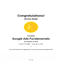 Google Ads Fundamental Award