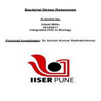 A brief review of general stress responses in Bacteria