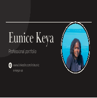 Professional portfolio