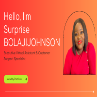 SURPRISE BOLAJIJOHNSON PORTFOLIO