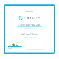 Data Analysis Professional