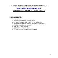 Test Strategy
