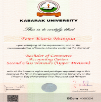 Bachelor of Commerce - Accounting Major