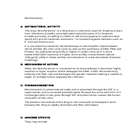 Academic Writing 
