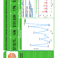 Financial Report Dashboard