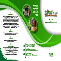 Trifold brochure 