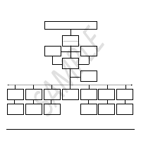 Sample Organization Chart - Free Style