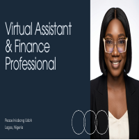 Virtual Assistant Finance Professional Portolio