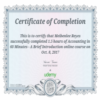 Udemy Accounting Certification