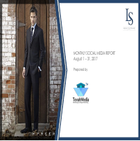 Reported LS Mens Clothing Monthly Social Media Performances