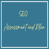 Website Assessment and Plan