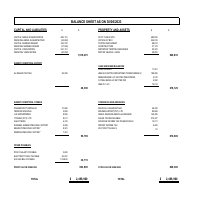 BALANCE SHEET
