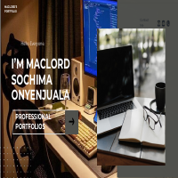 My Professional Portfolio 