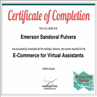 E-commerce Certificate