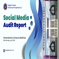 Social Media Page Audit