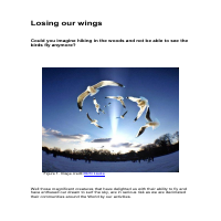 Conservation-blog