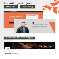EntreForge - Consulting Company