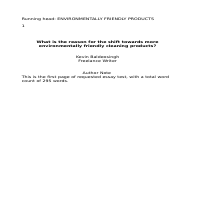 APA essay environment
