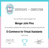 E-commerce certification from https://vabootcamp.ph/