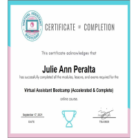 Virtual Assistant Certification.