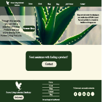 Dropshipping Web design Figma