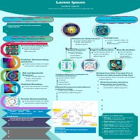 Sample of a Poster
