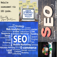 Website Assessment (SEO quake) 