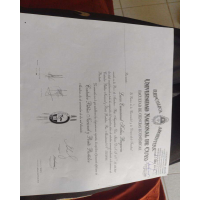 bachelor's degree